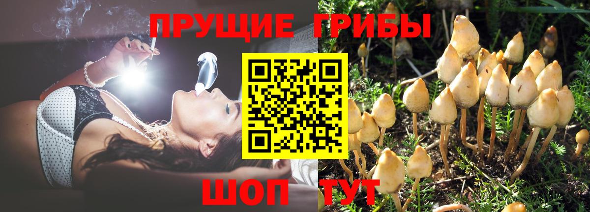 Псилоцибиновые грибы мицелий  Вход с VPN  Саянск 