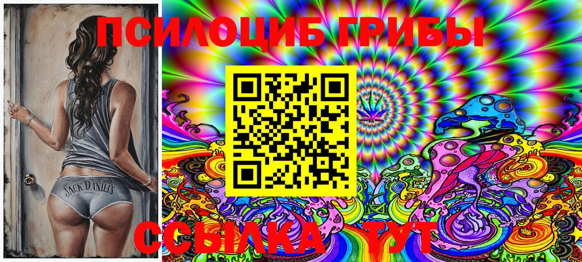 Галлюциногенные грибы Psilocybe Саянск